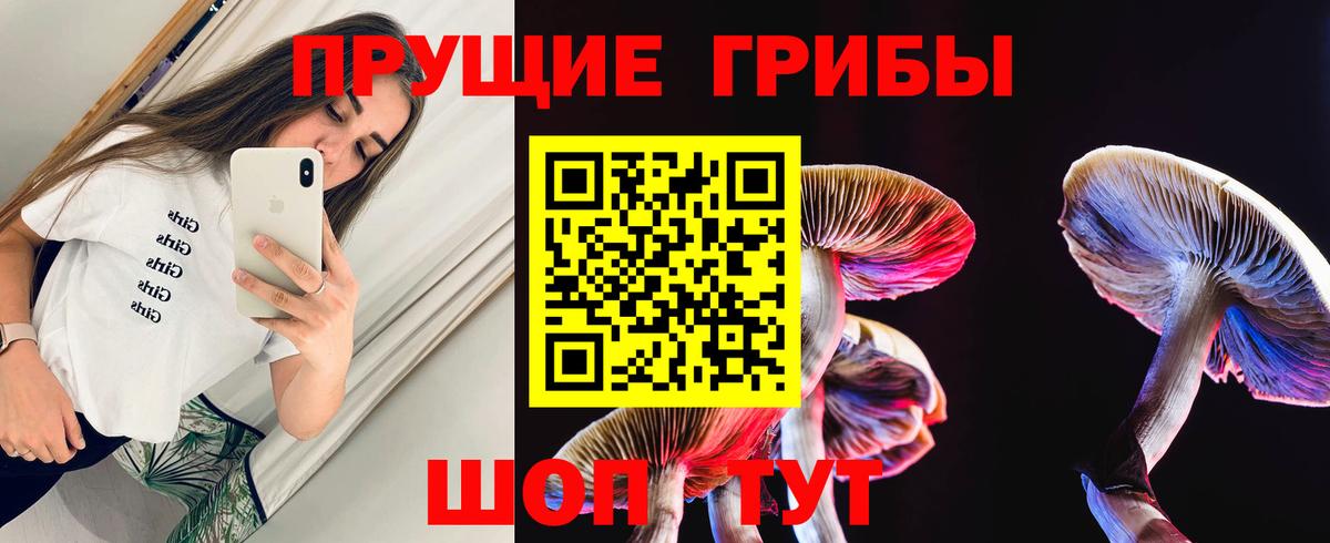 Павлово  Галлюциногенные грибы Cubensis  Вход с VPN 